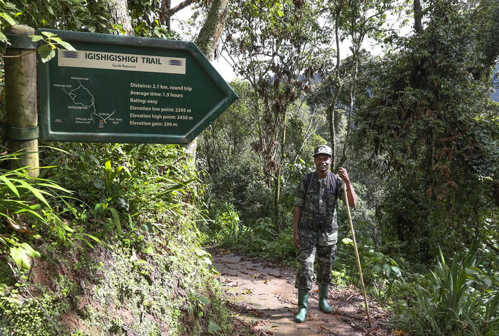 Nature Walk in Rwanda